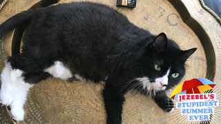 My Pussy Is on a Journey of Self-Discovery
